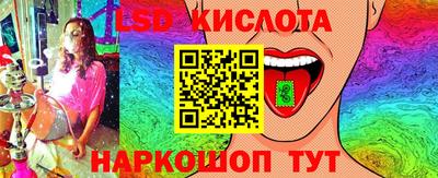 прущие грибы Кимры
