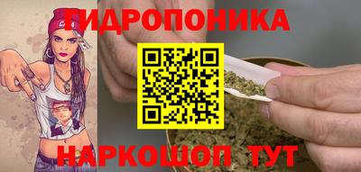 Альфа ПВП Кинель