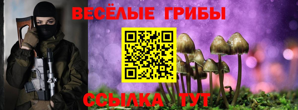 Корсаков  Галлюциногенные грибы мухоморы  Вход с VPN 